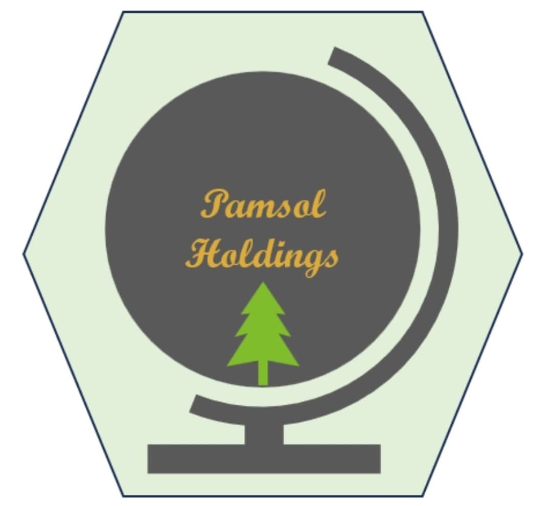 Pamsol Holdings Limited